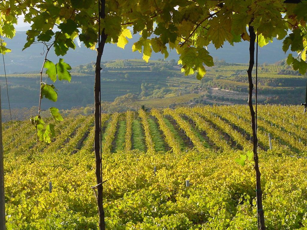 B&B Camignone Franciacorta Passirano Экстерьер фото